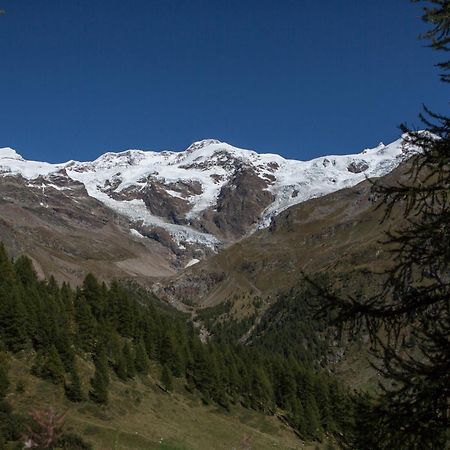 Hotel De Gletscher Gressoney-La-Trinite Bagian luar foto